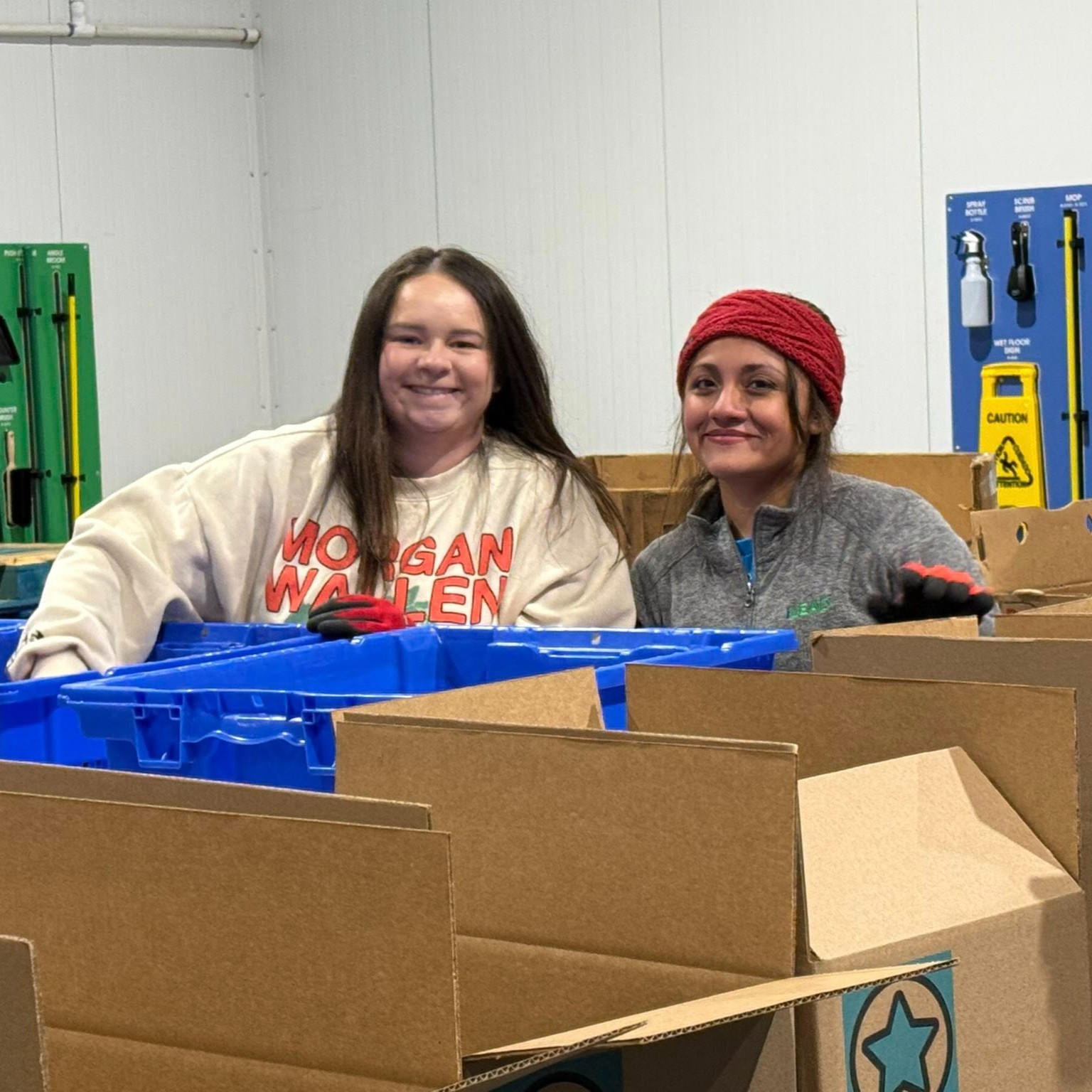 Governance and board work